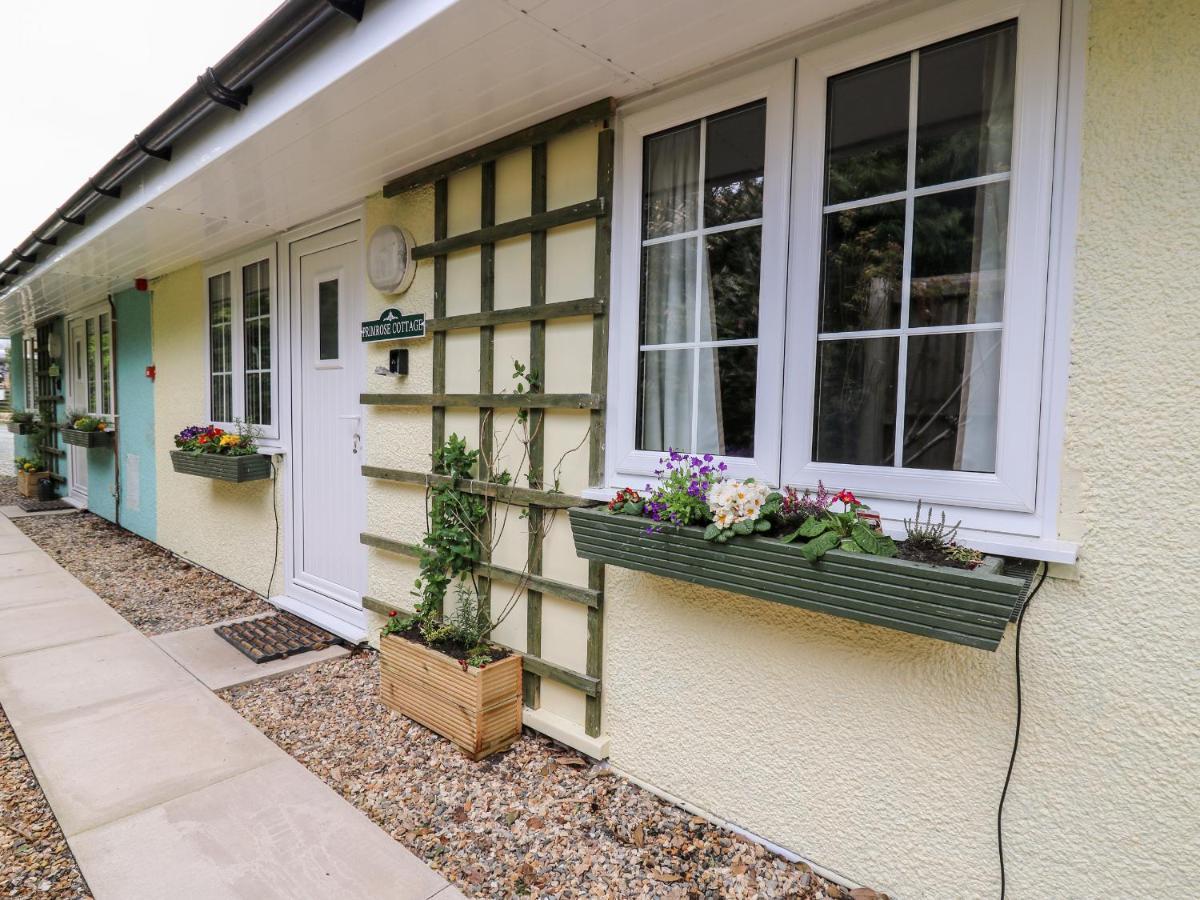 Primrose Cottage Llandrindod Wells Bagian luar foto